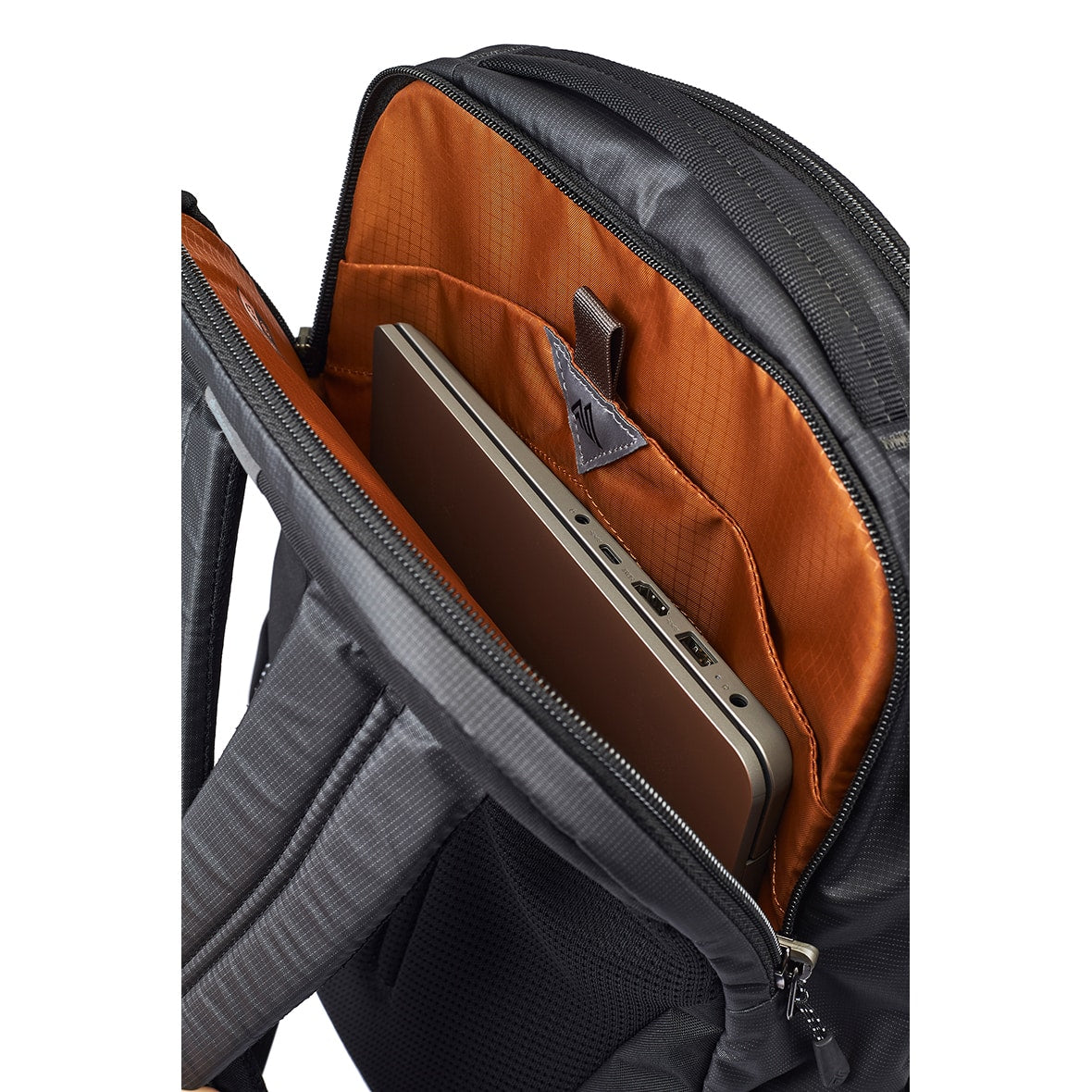 Sketch SQ RF  GREGORY LIFESTYLE