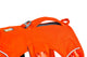Web Master Harness Blaze Orange (2025)