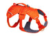 Web Master Harness Blaze Orange (2025)