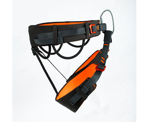 Dart Harness  EDELWEISS