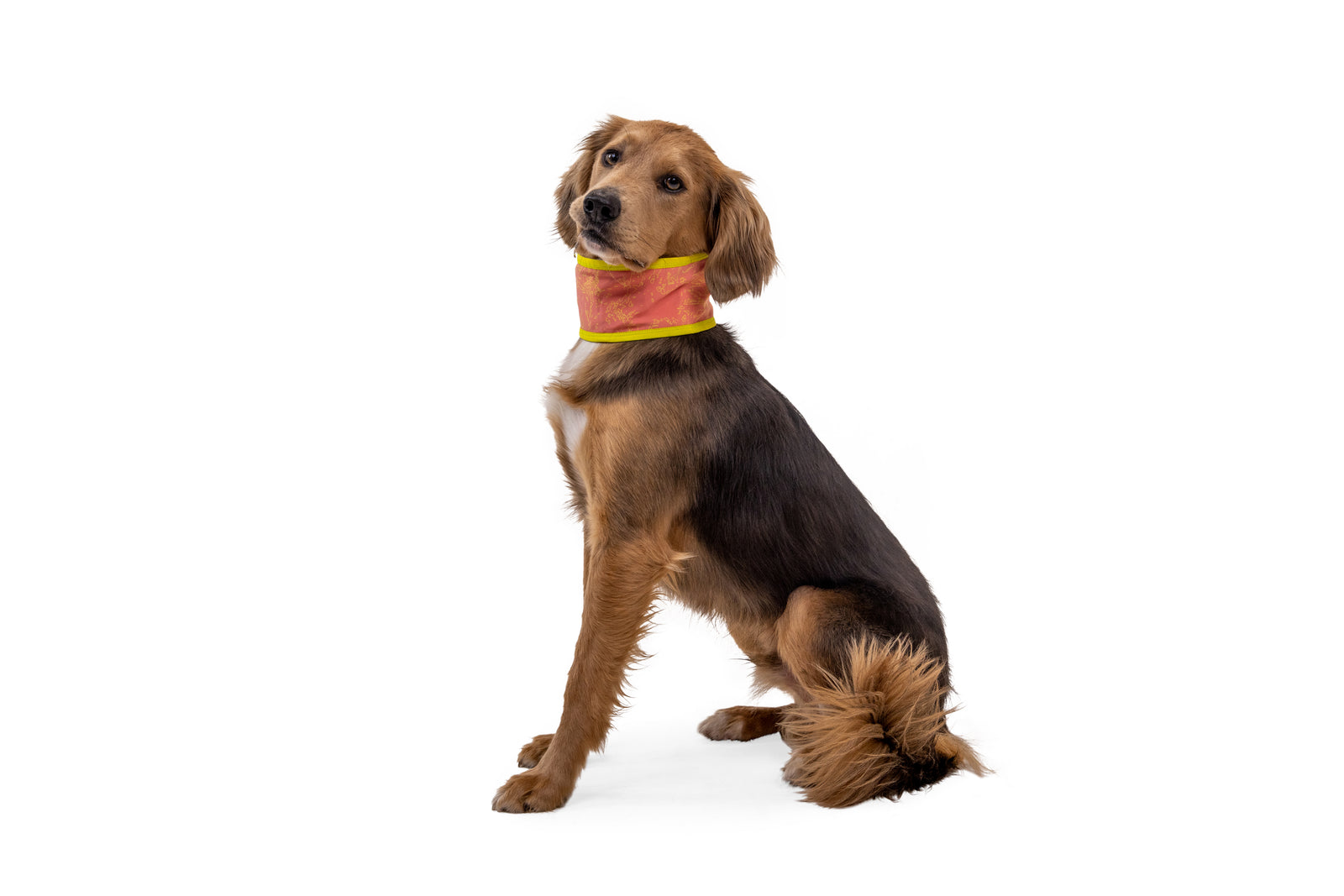 Swamp Cooler Neck Gaiter Salmon Pink/Blue Mist D20 RUFFWEAR