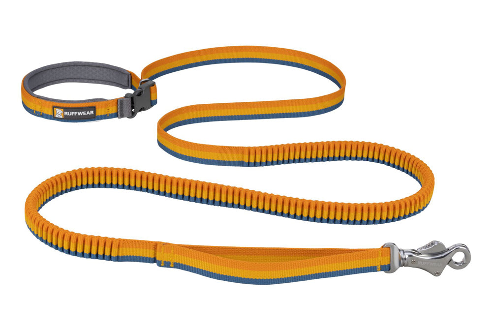 Roamer Leash Yellow Snow D20 RUFFWEAR