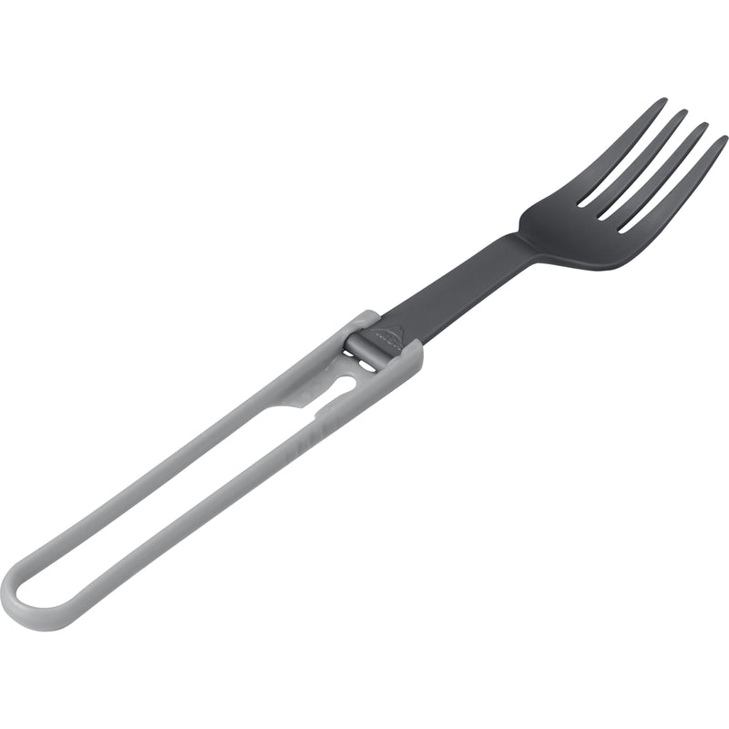 Fork  MSR