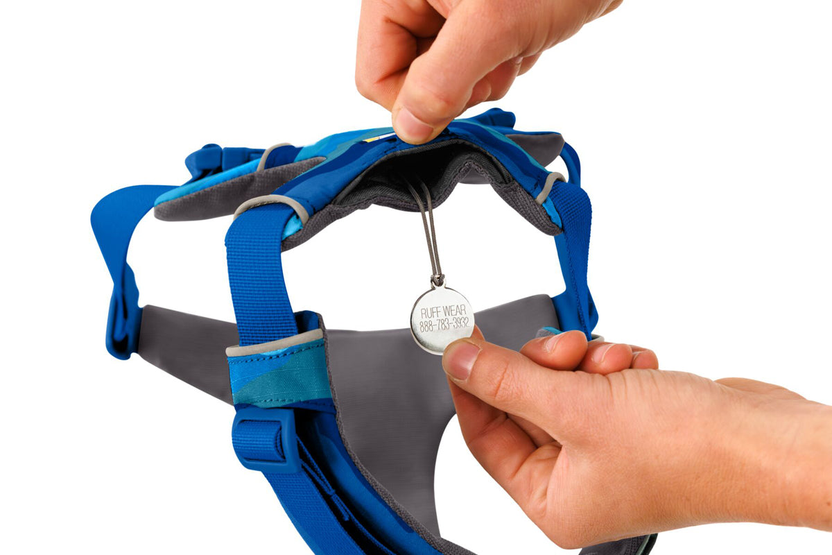 Front Range Harness Coastal Mountains D20 RUFFWEAR