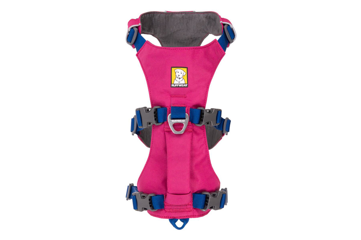 Flagline Harness Alpenglow Pink D20 RUFFWEAR