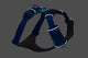 Front Range Harness Coastal Mountains D20 RUFFWEAR