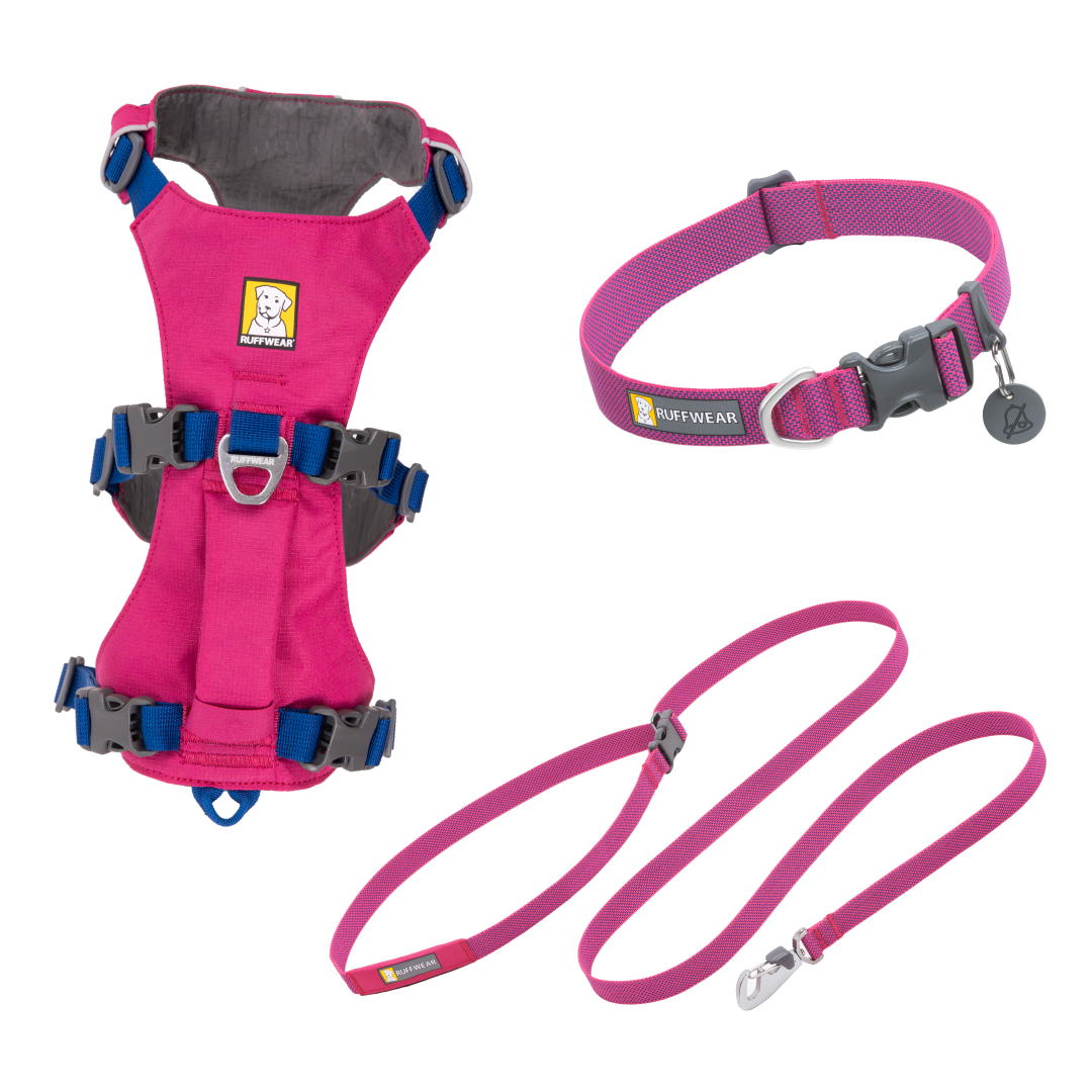 Flagline Set - Alpenglow Pink