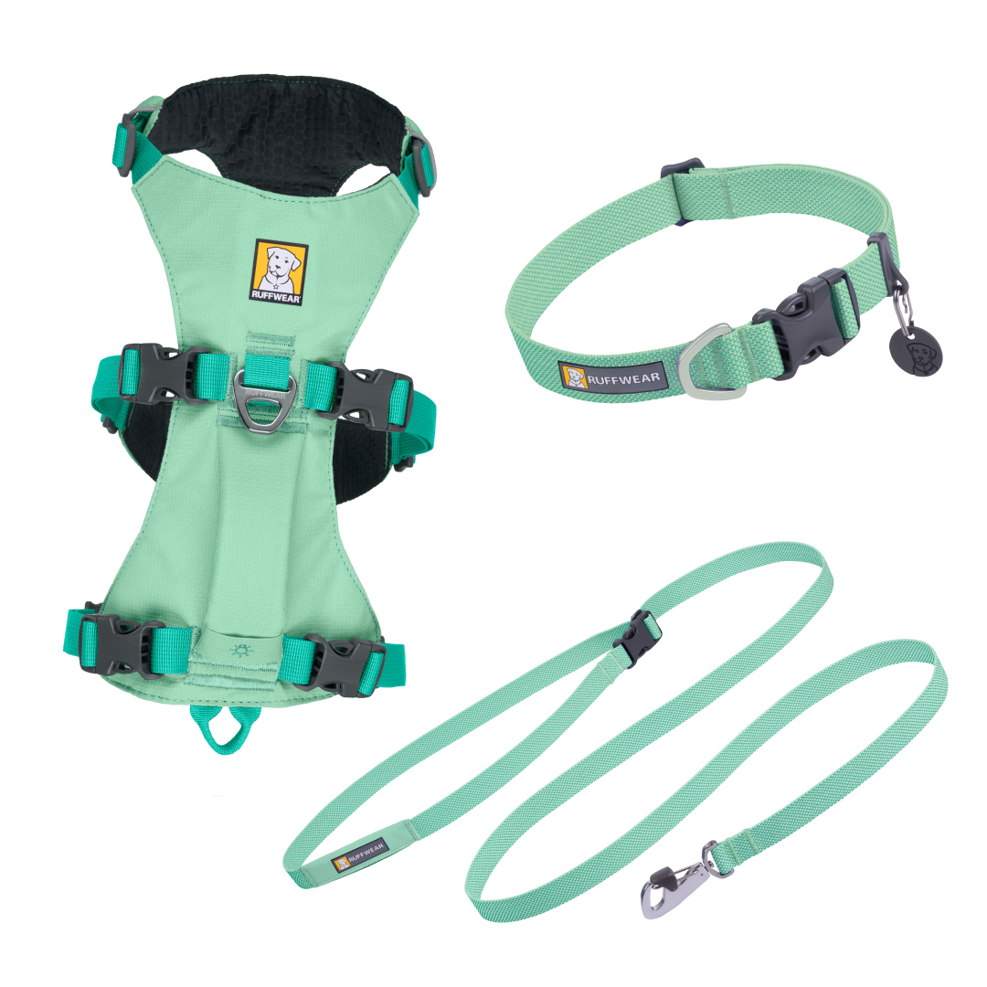 Flagline Set - Sage Green