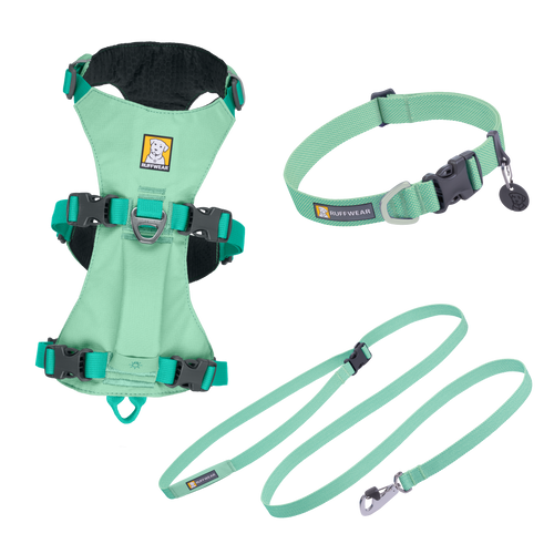 Flagline Set - Sage Green