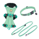 Flagline Set - Sage Green