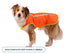 Lumenglow™ High-Vis Vest