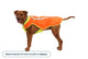 Lumenglow™ High-Vis Vest