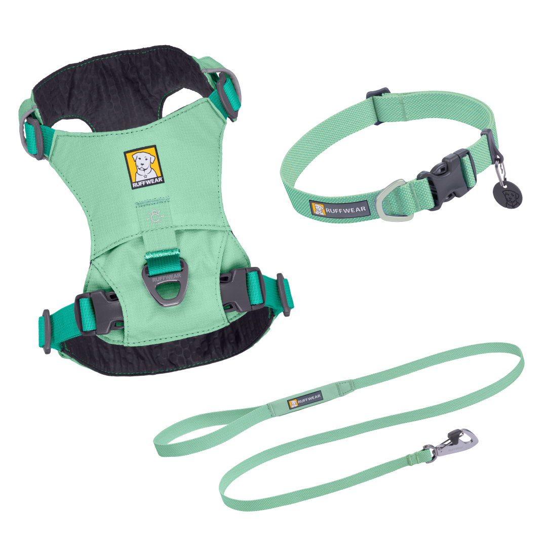 Hi & Light Set - Sage Green