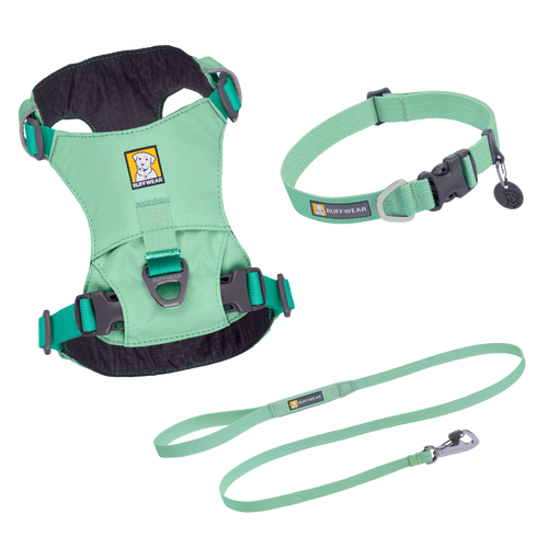 Hi & Light Set - Sage Green