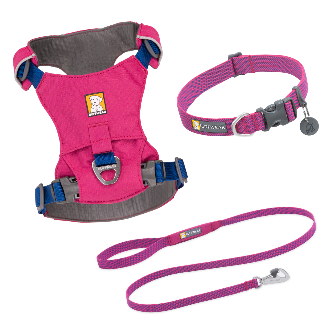 Hi & Light Set - Alpenglow Pink