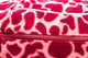 Climate Changer Fleece Jacket Berry Lava