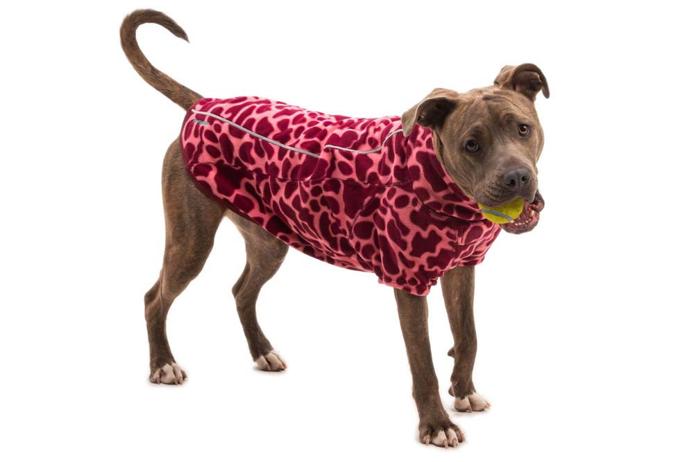Climate Changer Fleece Jacket Berry Lava