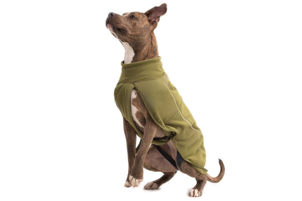 Climate Changer Fleece Vest Cedar Green