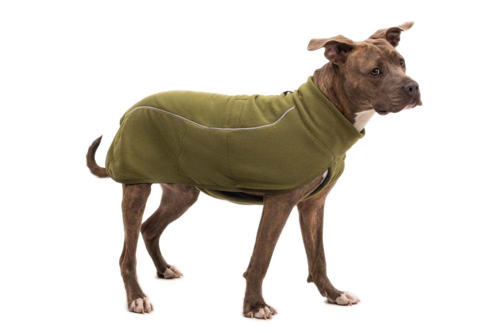 Climate Changer Fleece Vest Cedar Green