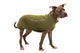 Climate Changer Fleece Vest Cedar Green