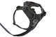 Front Range Harness Basalt Gray