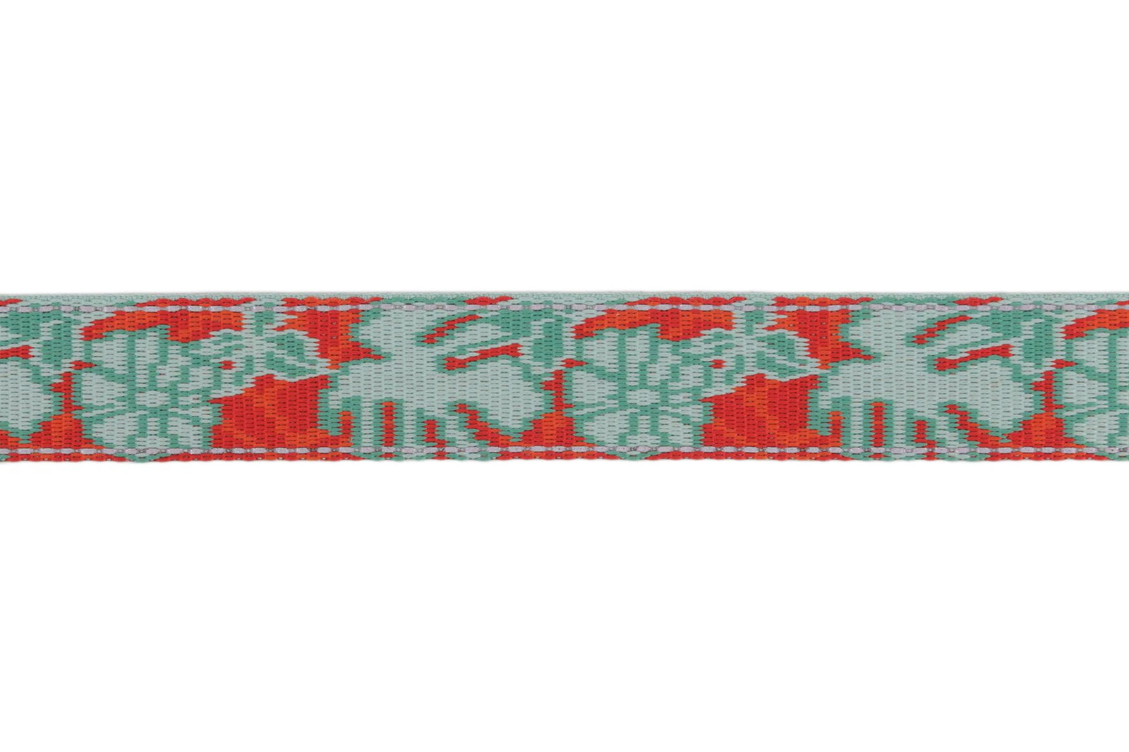 Crag Leash