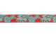 Crag Leash