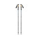 Trail Vista FLZ Trekking Poles