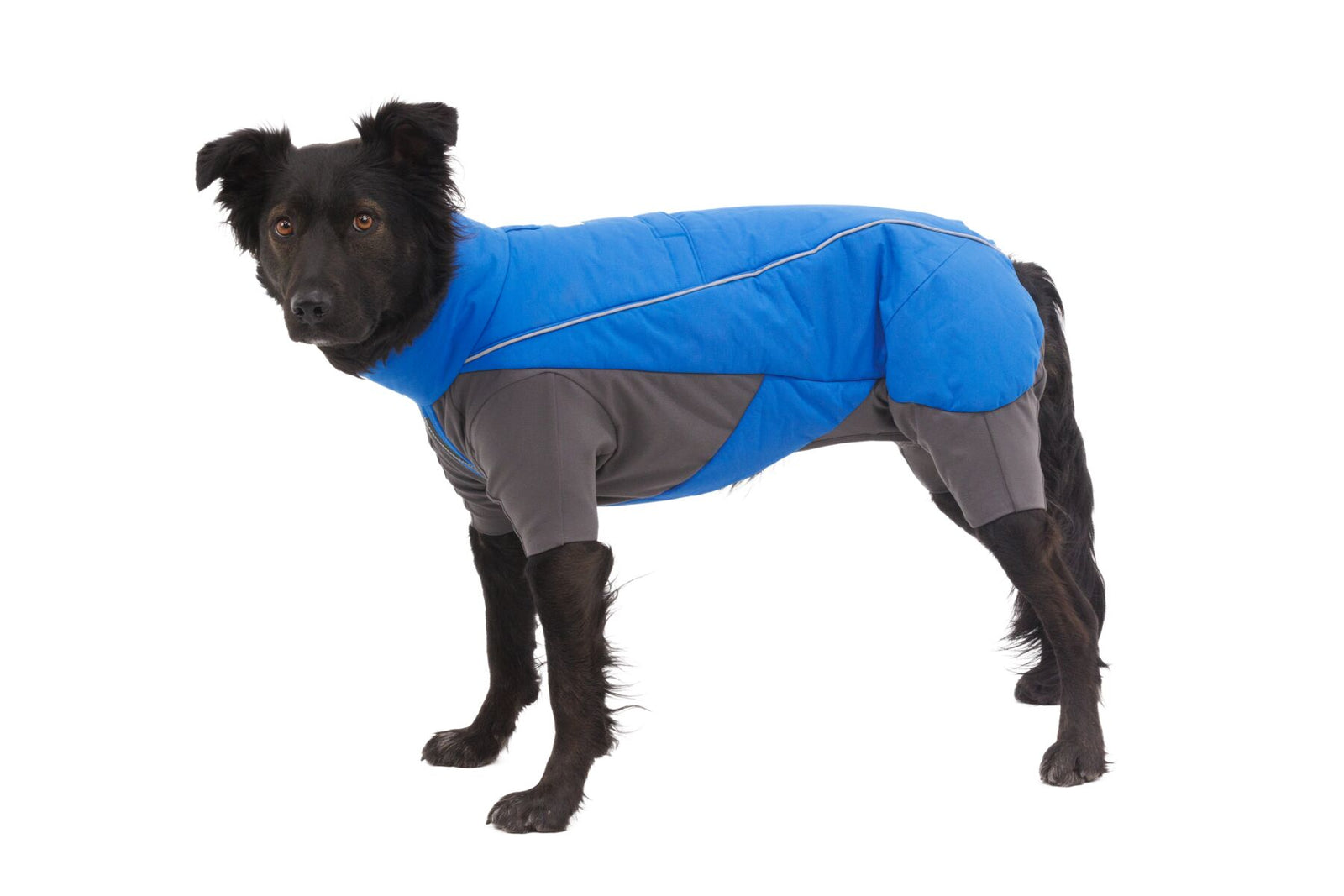 Vert Coverall Blue Pool