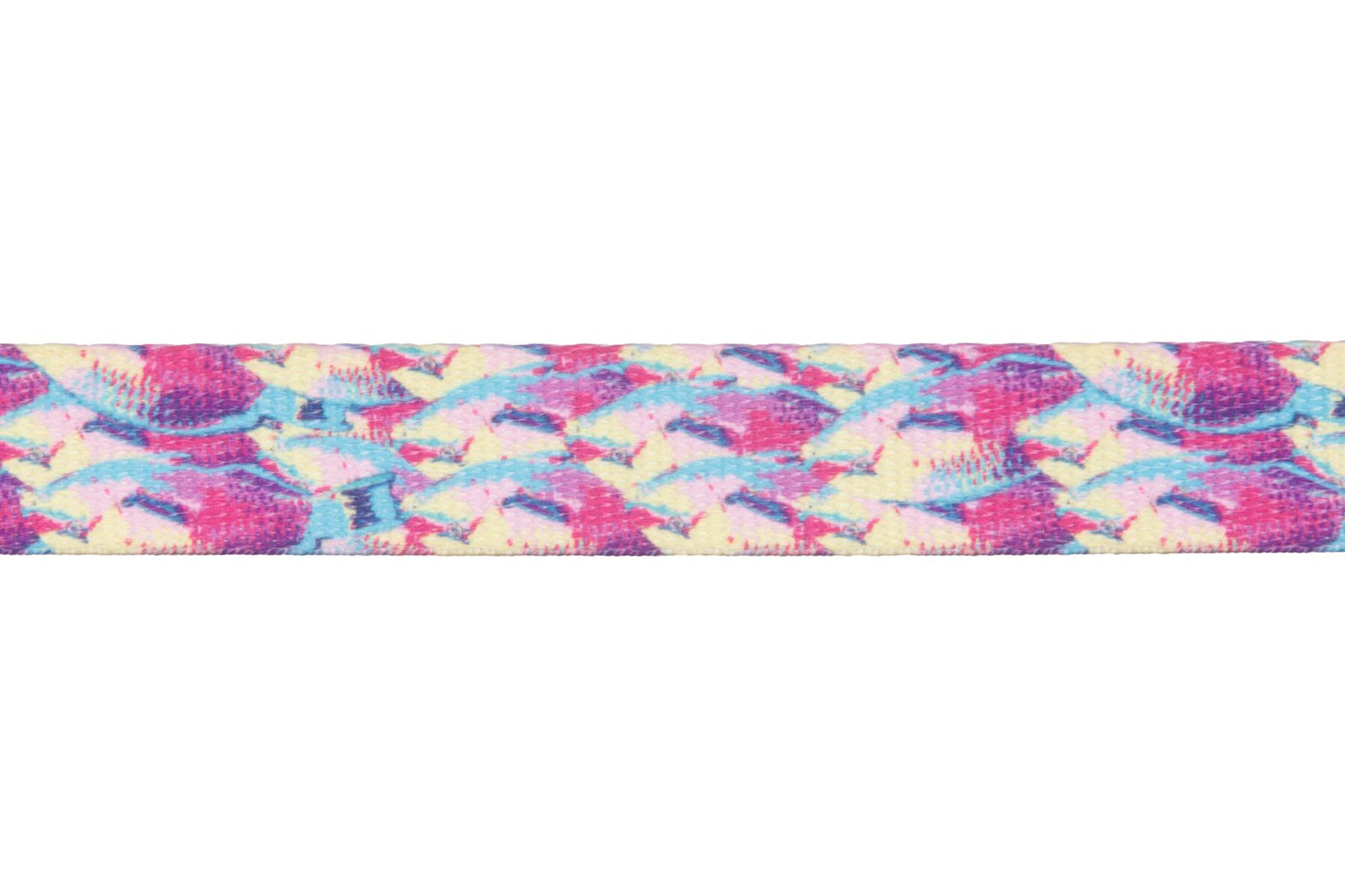 Reef-Fish