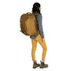 Sojourn Porter Travel Pack 46