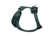Front Range Flex Harness Deep Teal