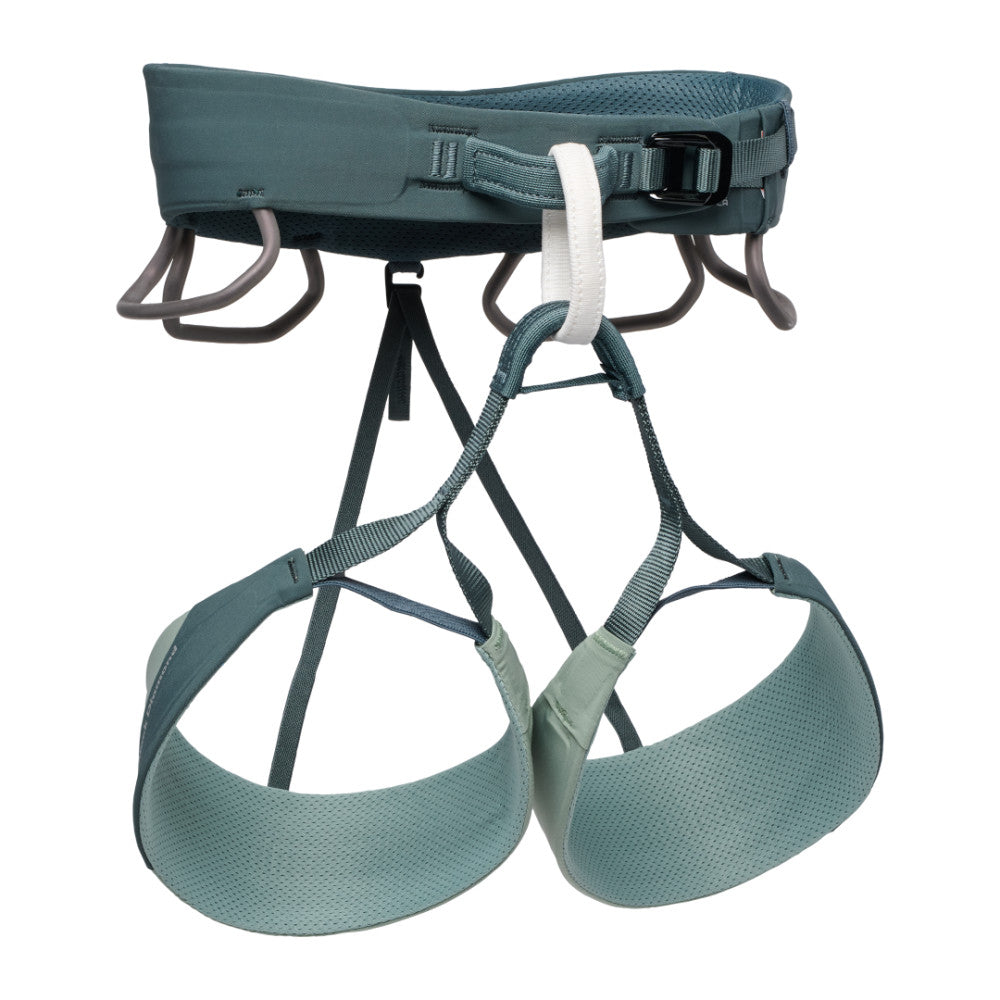 Solution Harness W  Agave