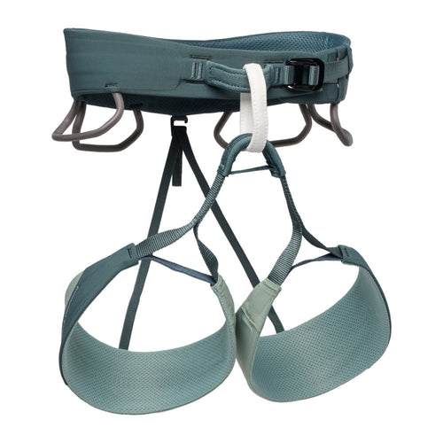 Solution Harness W  Agave