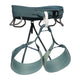 Solution Harness W  Agave