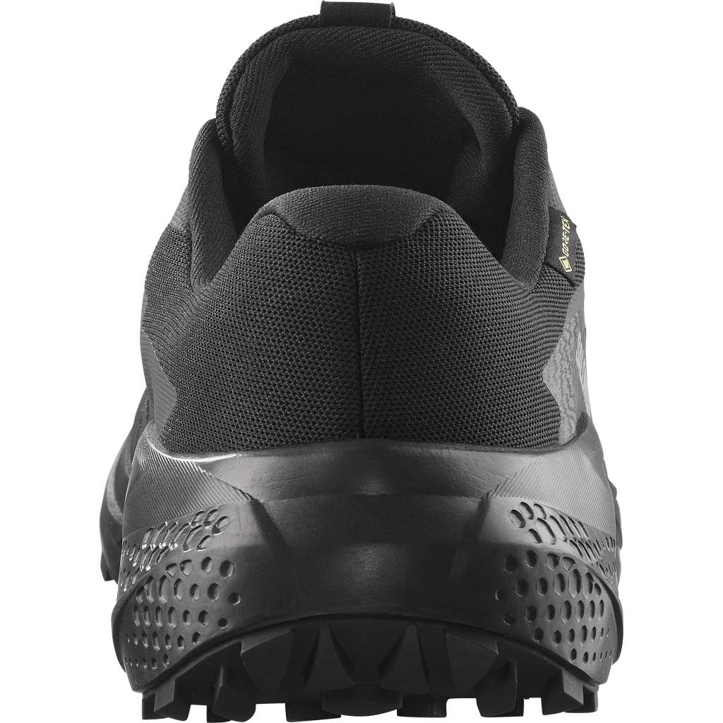 Alphaglide GTX Black/Asphalt/Black