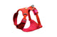 Front Range Flex Harness Rose Violet
