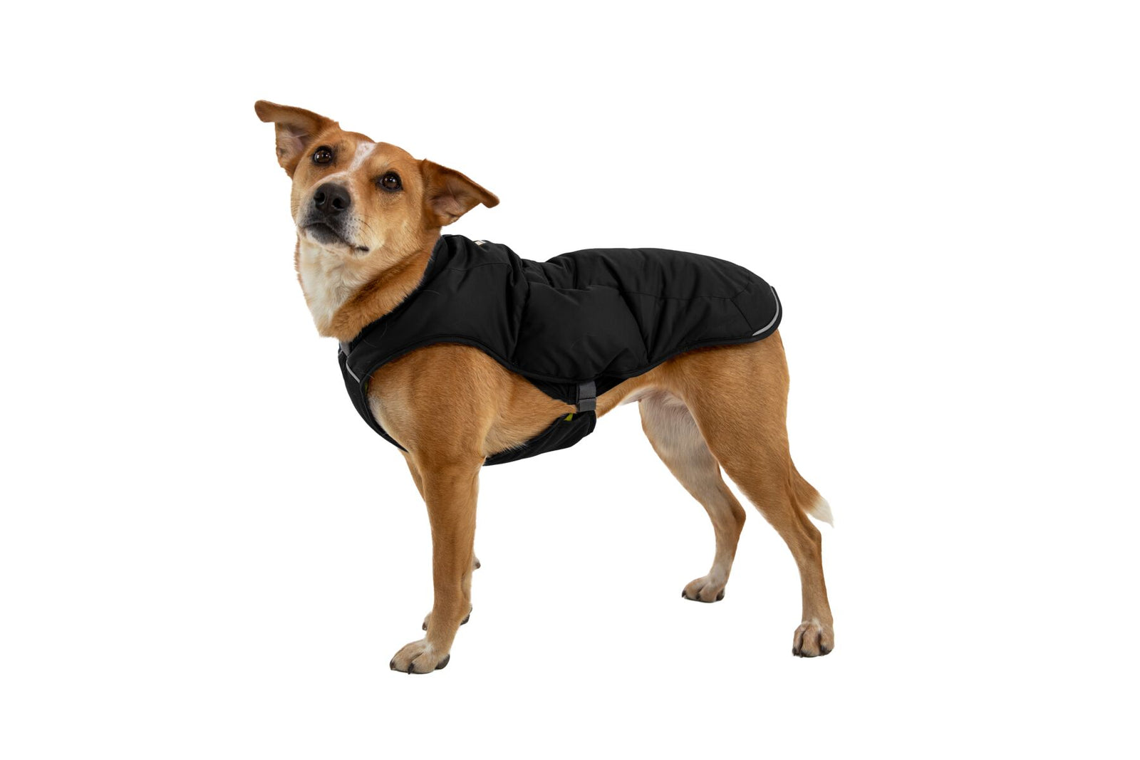 Quinzee Jacket Obsidian Black RUFFWEAR RUFFWEAR   