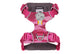Front Range Harness Pink Mountains