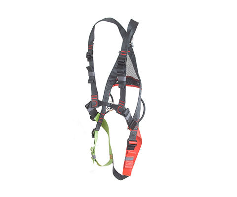 Explorer II Harness D50 EDELWEISS   