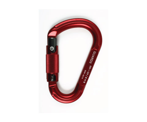 Guard 3 Carabiner D20 EDELWEISS Default Title  