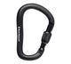 Rocklock Screwgate Cbr S20 Blk D15 BLACK DIAMOND Default Title  