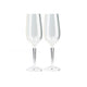 Champagne Flute 2/Set  GSI Default Title  