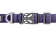 Front Range Collar Purple Sage D20 RUFFWEAR   