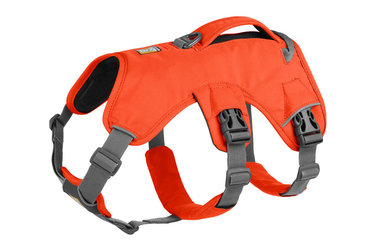 Web Master Harness Blaze Orange D20 RUFFWEAR   