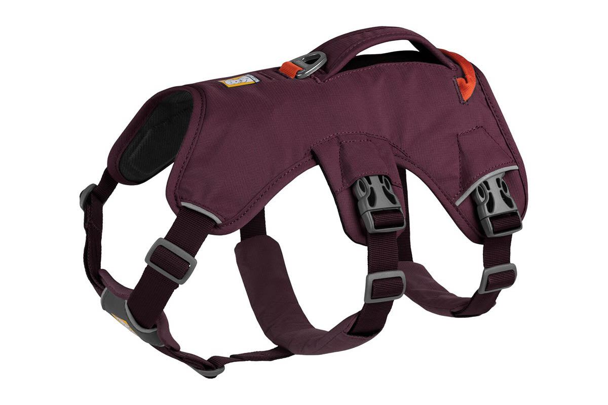 Web Master Harness Purple Rain D20 RUFFWEAR   