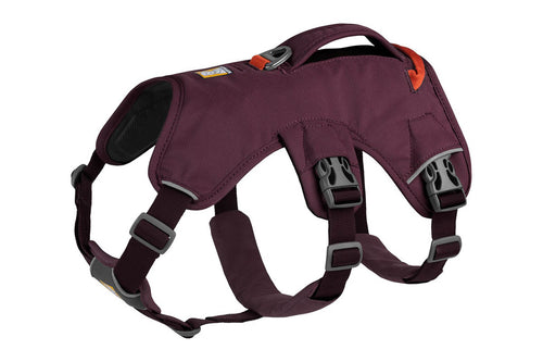 Web Master Harness Purple Rain D20 RUFFWEAR   