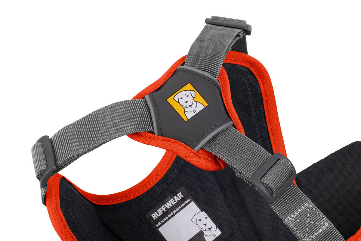 Web Master Harness Blaze Orange D20 RUFFWEAR   