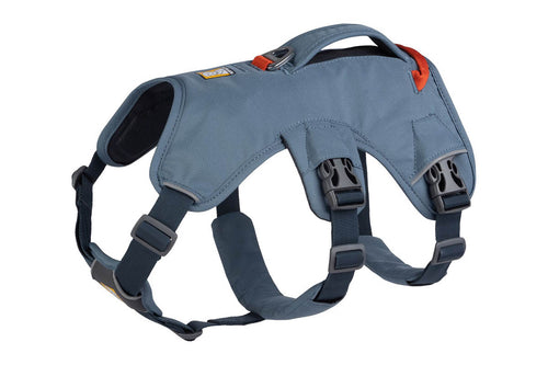 Web Master Harness Slate Blue D20 RUFFWEAR   