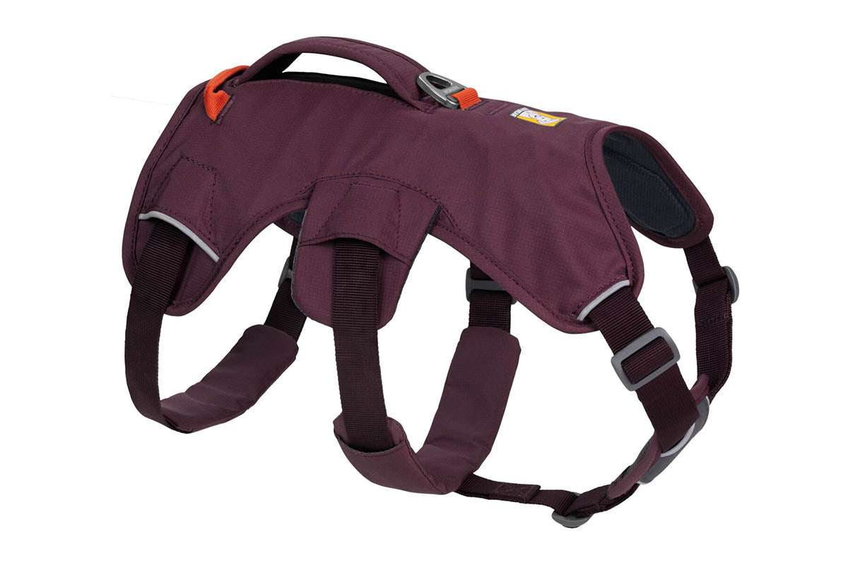 Web Master Harness Purple Rain D20 RUFFWEAR   